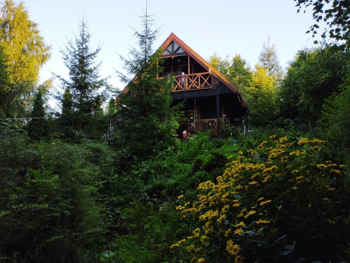 Garden House nad jeziorem Szelment Przejma Wielka Buitenkant foto